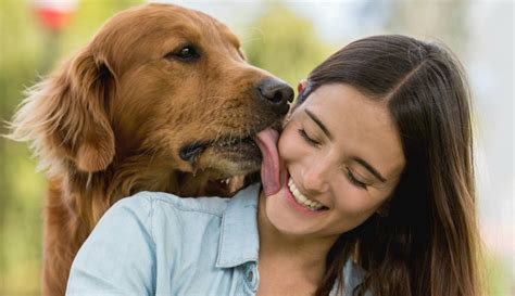 perros cojiendo con mujeres|Impresionante perro se folla a una preciosa jovencita